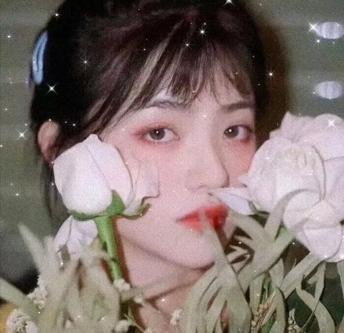 偷盗艺术海报