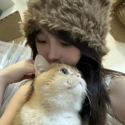 夏至廊桥海报